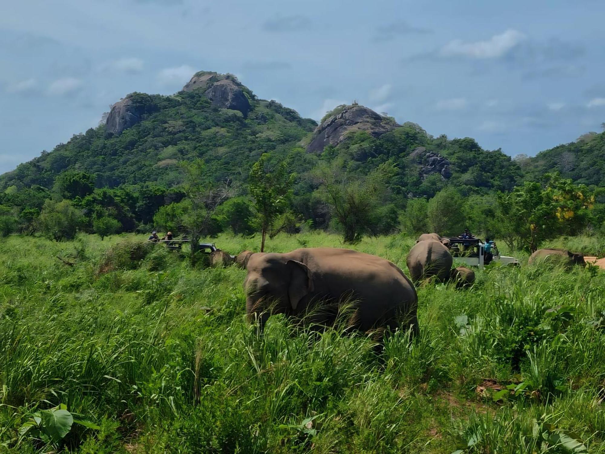 Relax Nature Villa Sigiriya Exterior photo